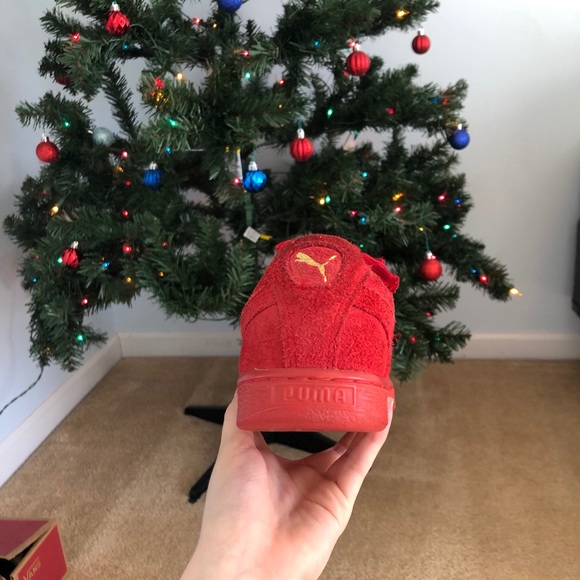 pumas - Picture 4 of 6